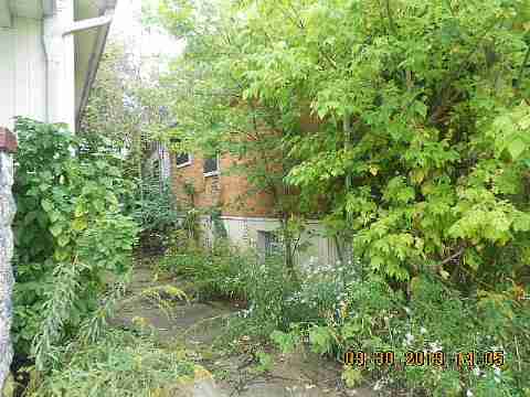 6637 Majestic (3)_m.jpg